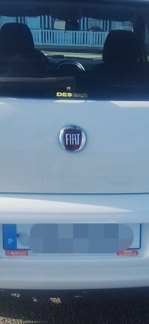 Fiat Punto 2018, nacional