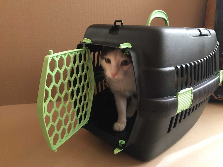 Переноска для собак кошек кота SGbox до 6 кг. товары для животных