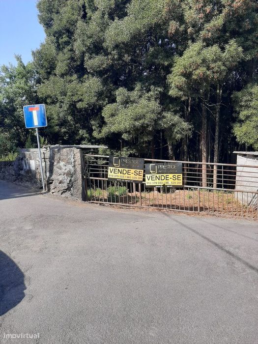 Vende quinta Termas São Vicente Penafiel