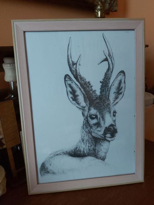 Kozioł sarna rogacz. Grafika łowiecka myśliwska polowanie. A4