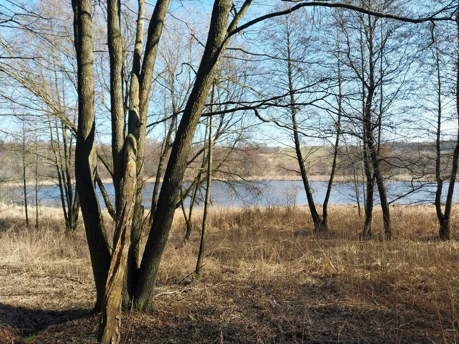 Działka budowlano-rekreacyjna 2900m2 nad jeziorem z linią brzegową