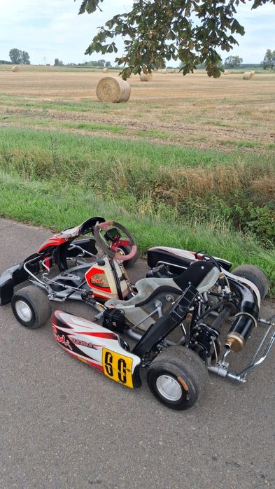 Sodikart gokard 125cm3 duży szybki oryginał