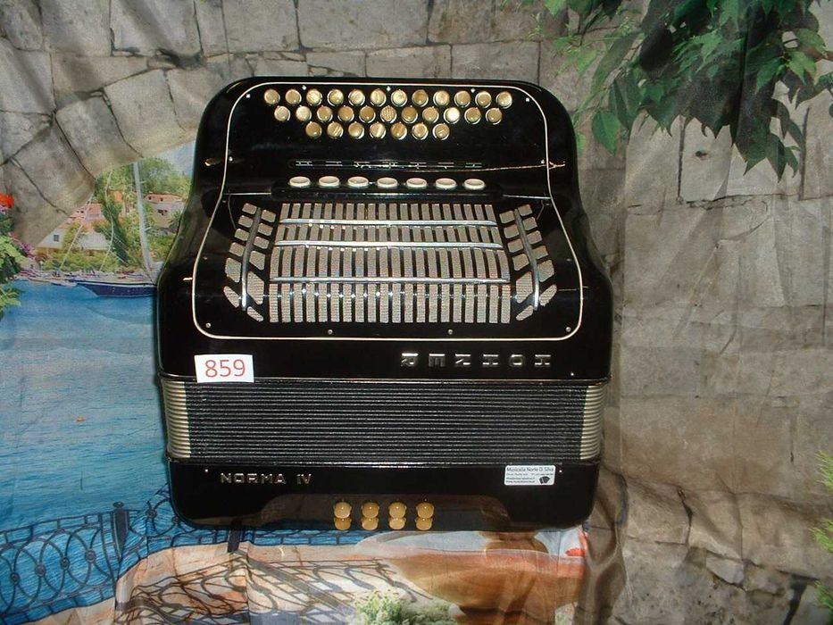 Promoção de Acordeões e  concertinas em lote