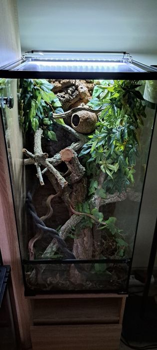 Terrarium 45x45x90 z wyposażeniem