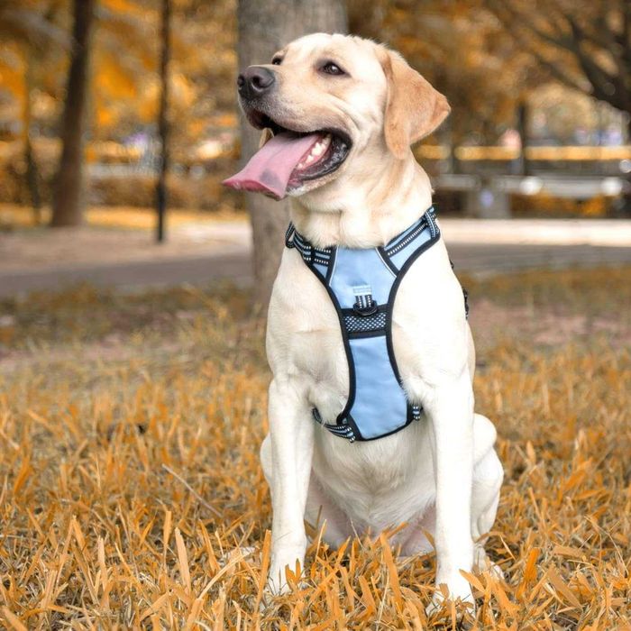 Szelki PoyPet No Pull Dog, kamizelka odblaskowa Rozmiar L