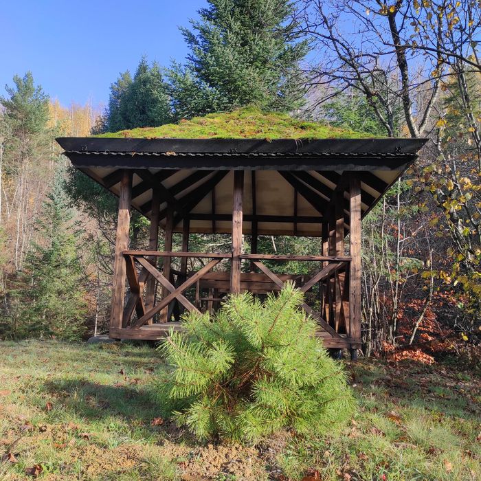 Котедж (садиба) в карпатах.Чан з терасою.Сауна.Оренда будинку. Чан