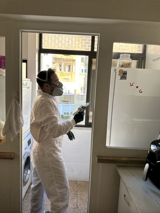 DESINFESTACAO CONTROLE DE PRAGAS PERCEVEJO BARATA RATO PULGA TERMITA