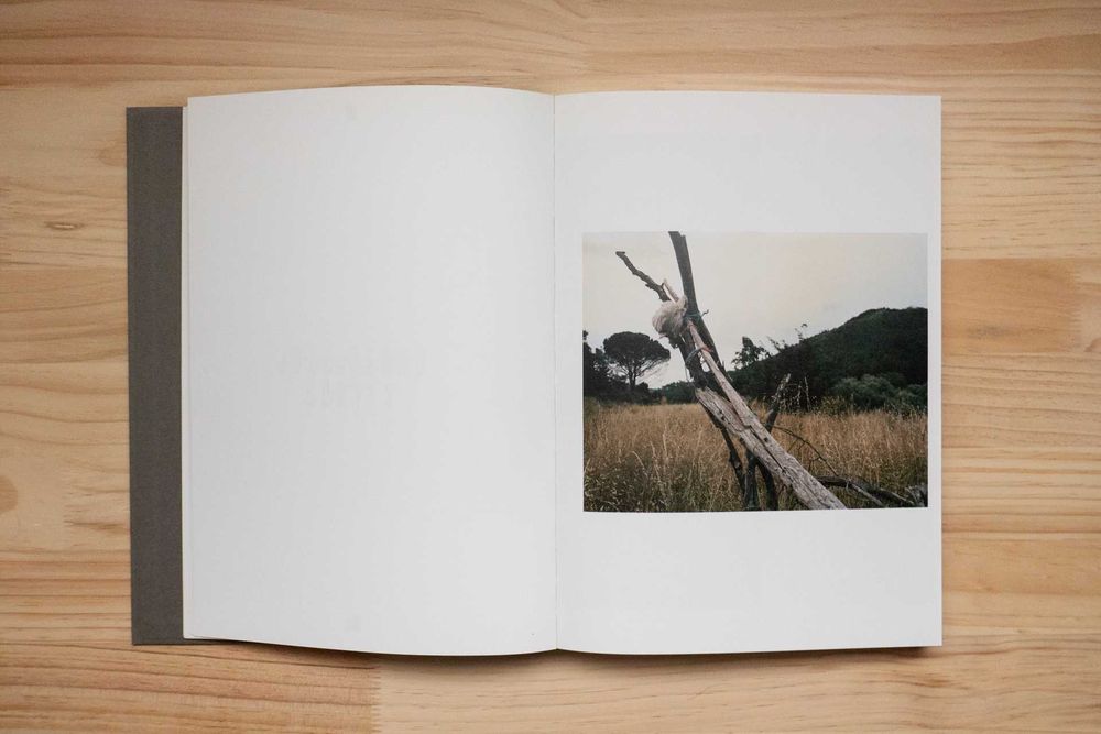"Lapa do Lobo", José Pedro Cortes, André Cepeda, Paulo Catrica, etc
