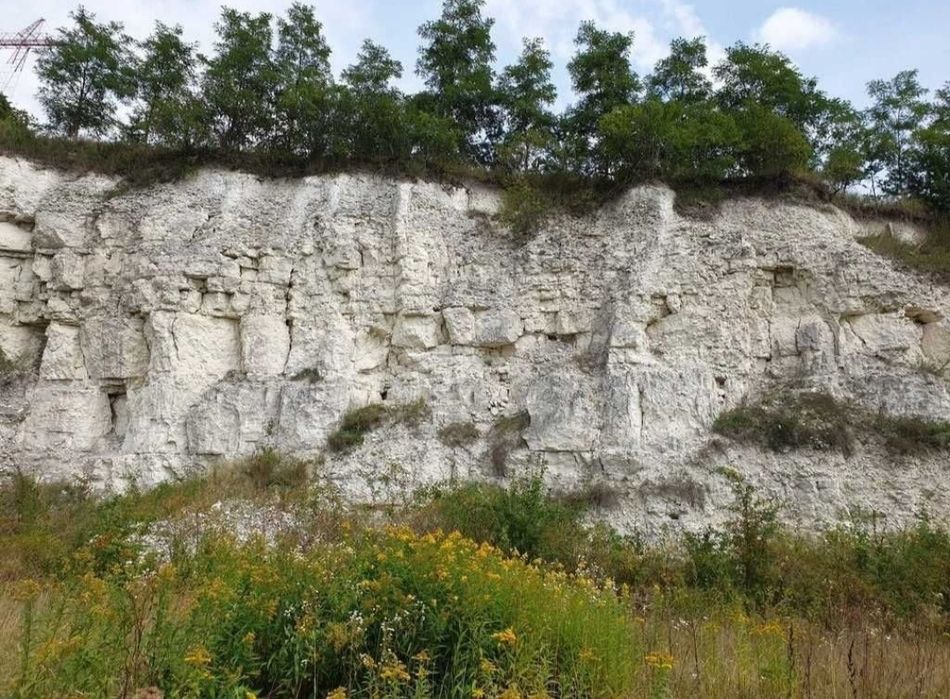 Dom z dużą działką nad brzegiem Wisły Opoczka/Annopol