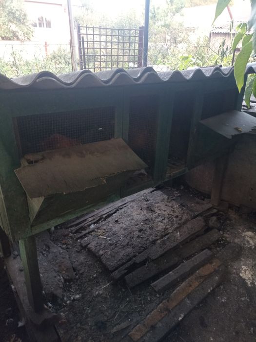 Клітка для кролів,крілятник,кролики