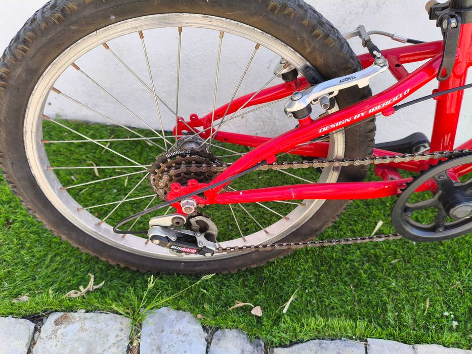Bicicleta infantil aro 20