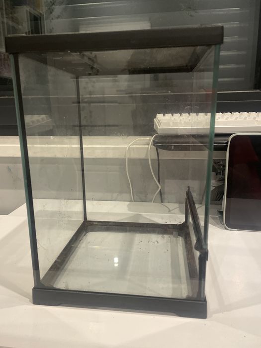 Terarium dla gekona patyczaka i innych zwierzaków