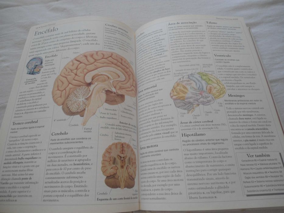 Dicionário Escolar do Corpo Humano por David Burnie