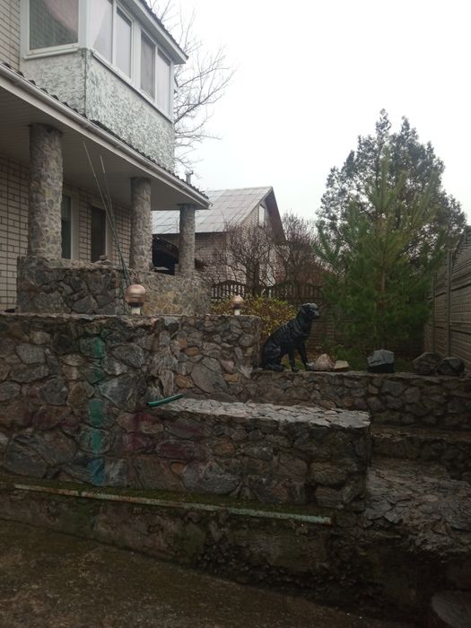 Продам дом дача в Новоселовке