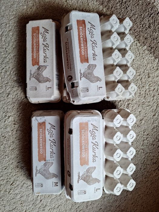 Wytłoczki na jajka 50 sztuk opakowania