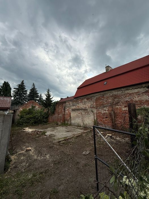 Wycinka drzew trudno-dostępnych LESZNO