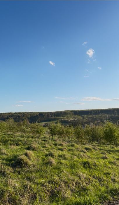 Земля з чудовим краєвидом , валя кузьмина 32 сотки АКЦІЯ та терміновий продаж