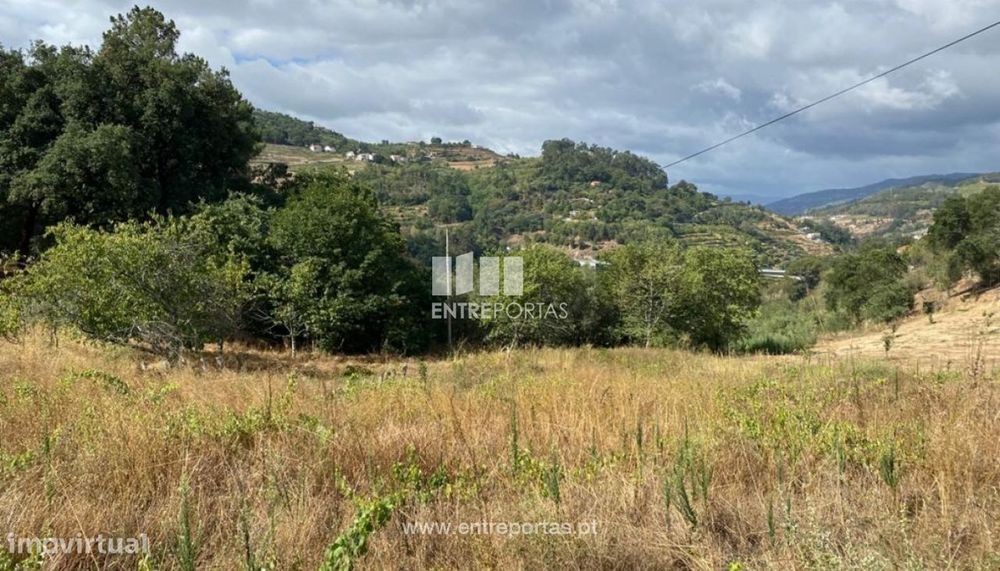 Venda Terreno para Construção de uma Moradia, Frende, Baião — Frende, Porto