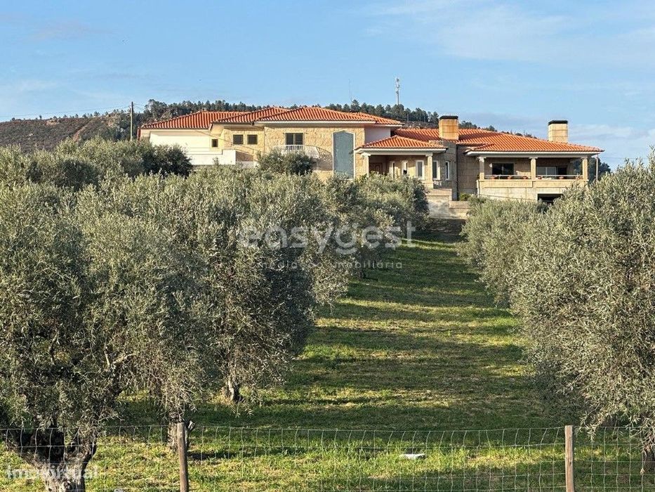 Magnifica Quinta de Luxo T5 muito bem localizada em Vila Flor