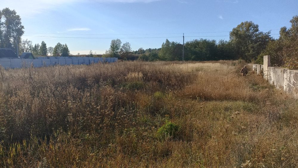 Участок (земельна ділянка) Киенка