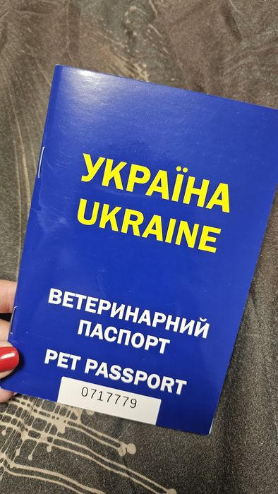 Ветеринарний паспорт для котика чи песика
Ми придбали, але