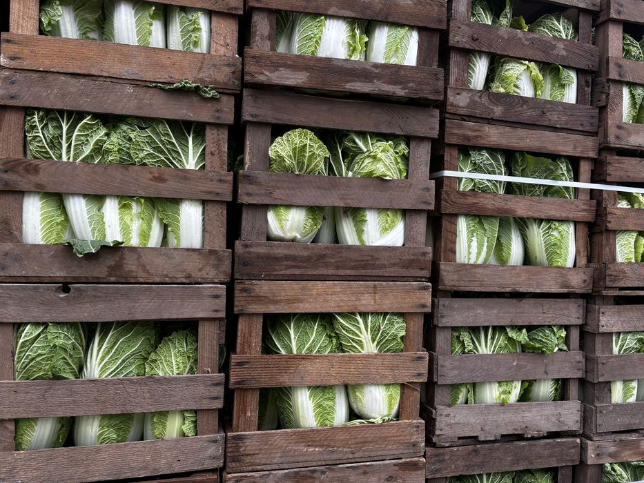 Skrzynki drewniane na pekina