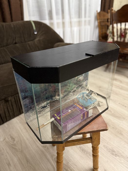 Акваріум для рибок