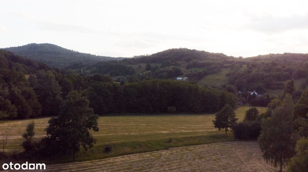 2 działki (0,96+0,46ha) pod wymarzony dom lub agroturystkę, las,  góry