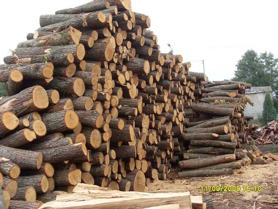 drewno kominkowe opałowe