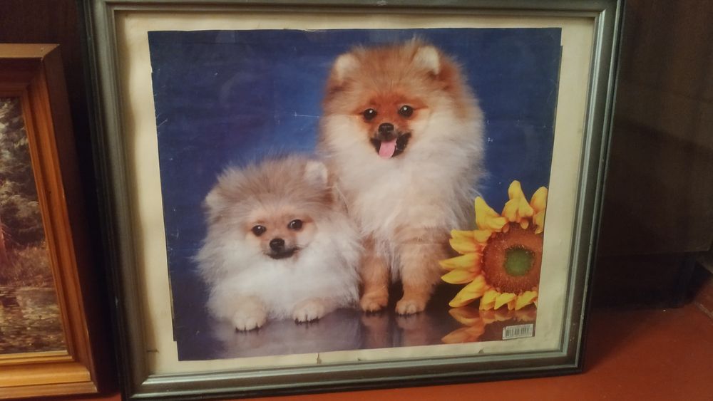 Продам картины в рамках