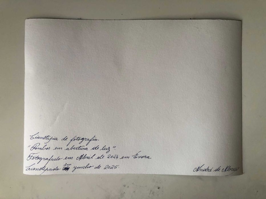 Cianotipia A4 - "Pombos em abertura de luz"