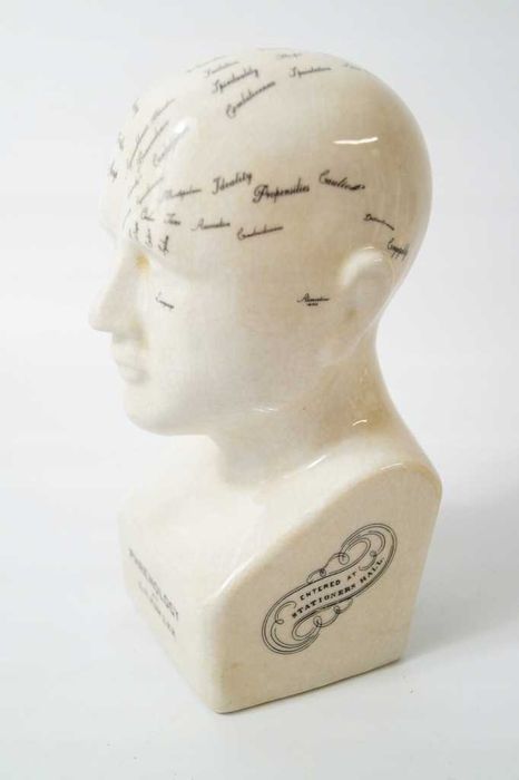 Głowa medyczna lekarska mapa mózgu porcelana
