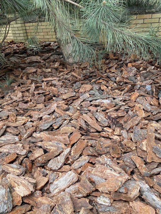 кора соснова тільки опт "Форест Харків"