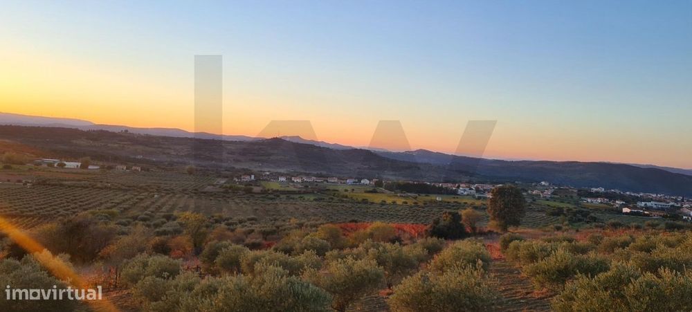 Unique Opportunity | Agricultural Estate | 36 Hectares: Olive Groves, Almond Orchards and Vineyards