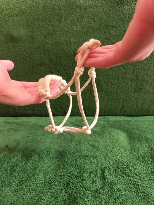Halter dla hobby horse A4