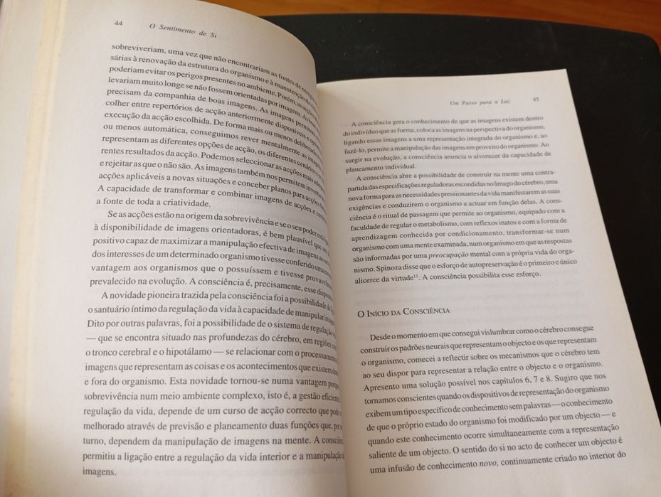 Livro " O sentimento de si"
