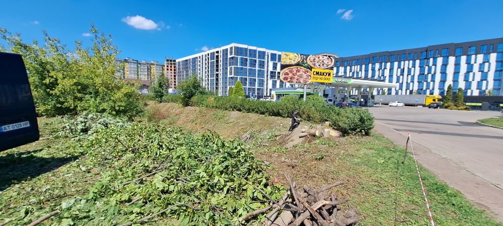 Розчищення ділянок від дерев