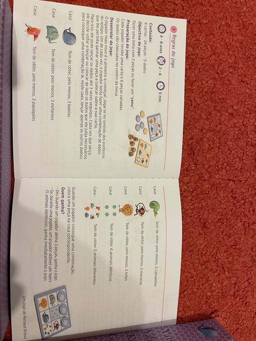 Jogo Djeco Yams novo