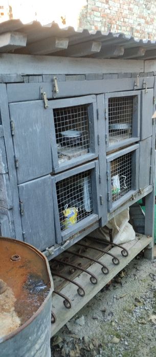 Клітка для кролів