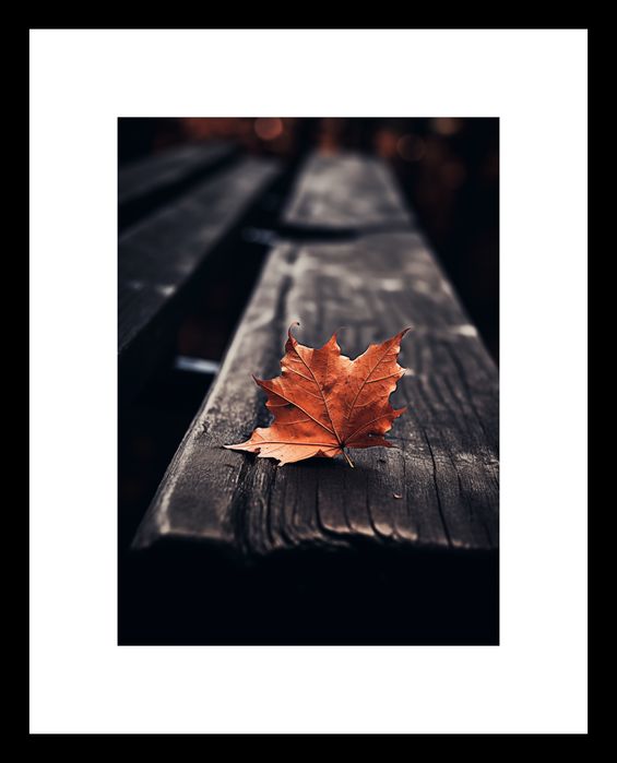 Plakat 13x18cm Pojedynczy Liść