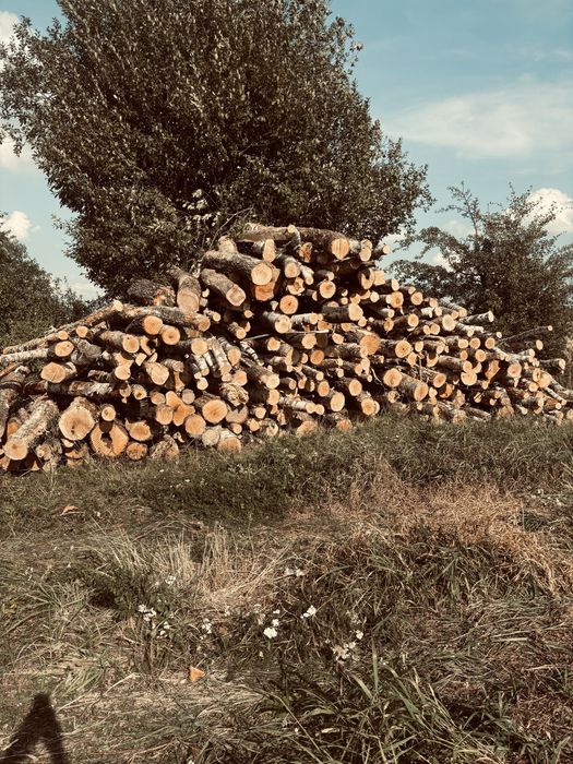 Drewno kominkowe opalowe brzoza/osika