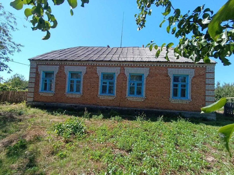 Продаж будинку 133 м.кв мальовниче село Чайківка 25 соток землі Радомишль 16 км