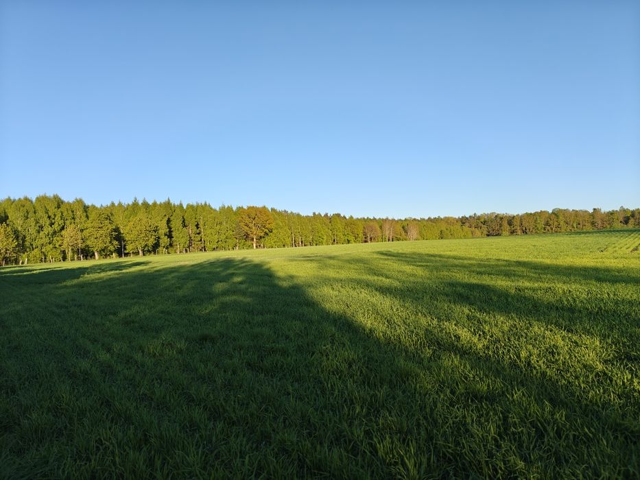Działki siedliskowe blisko Łeby