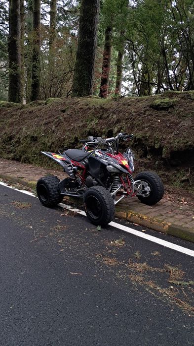 Yamaha YFM 250  Raptor