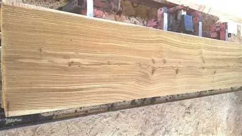 Deski dębowe suche Tarcica dębowa Dąb Monolit