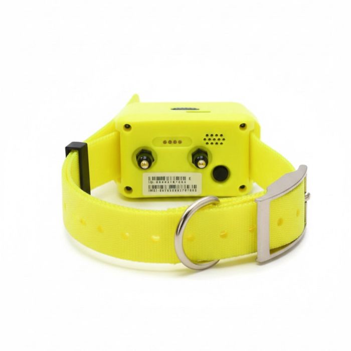 GPS трекер для собак