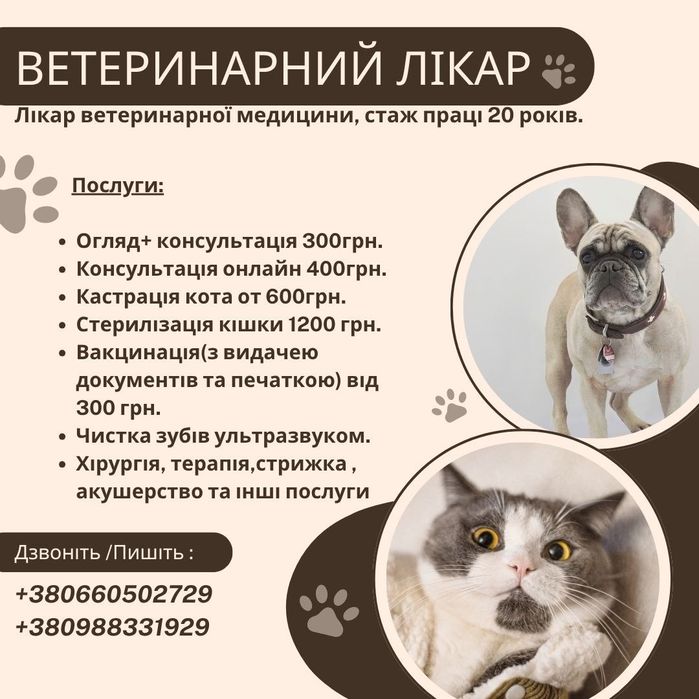 Лікар ветеринарної медицини