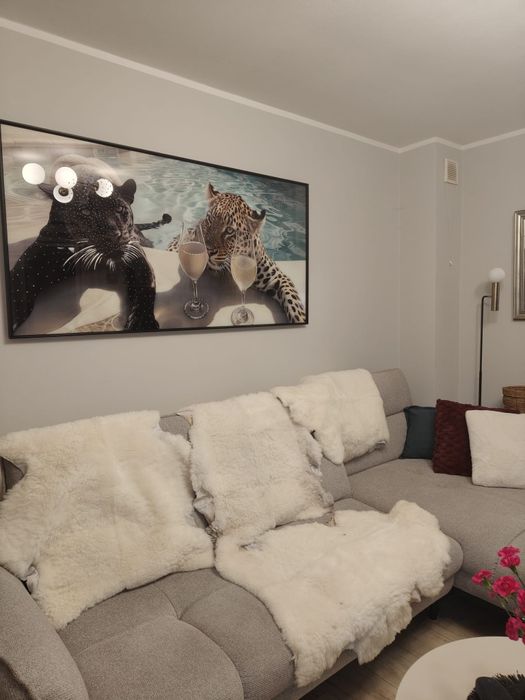 Owcze skóry sprzedam