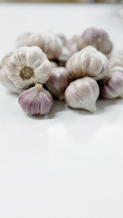 Продам домашній зимовий часник