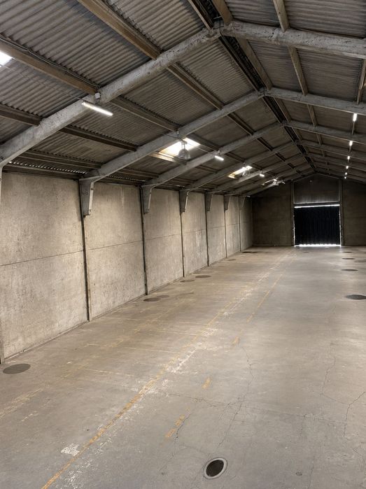 Armazém industrial 1500m2
